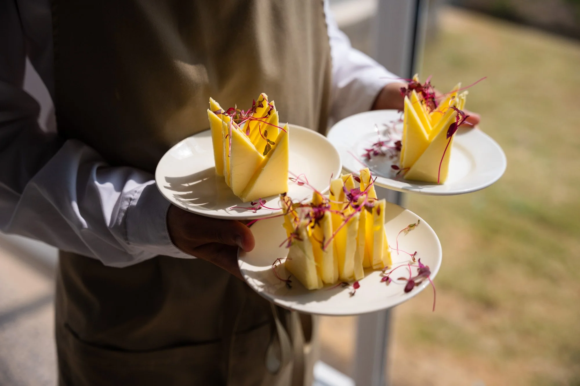 vivid triangles of butter on three plates, held by catering server