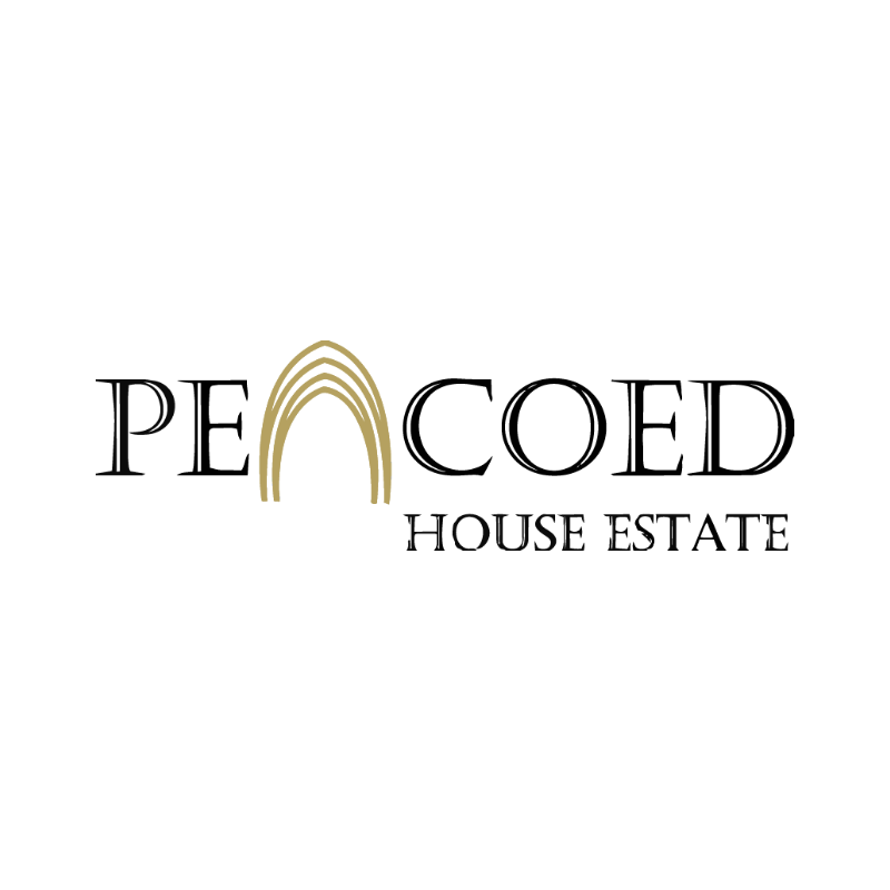 Logo for 'Painted House Est. 20' with a golden rainbow above the text.