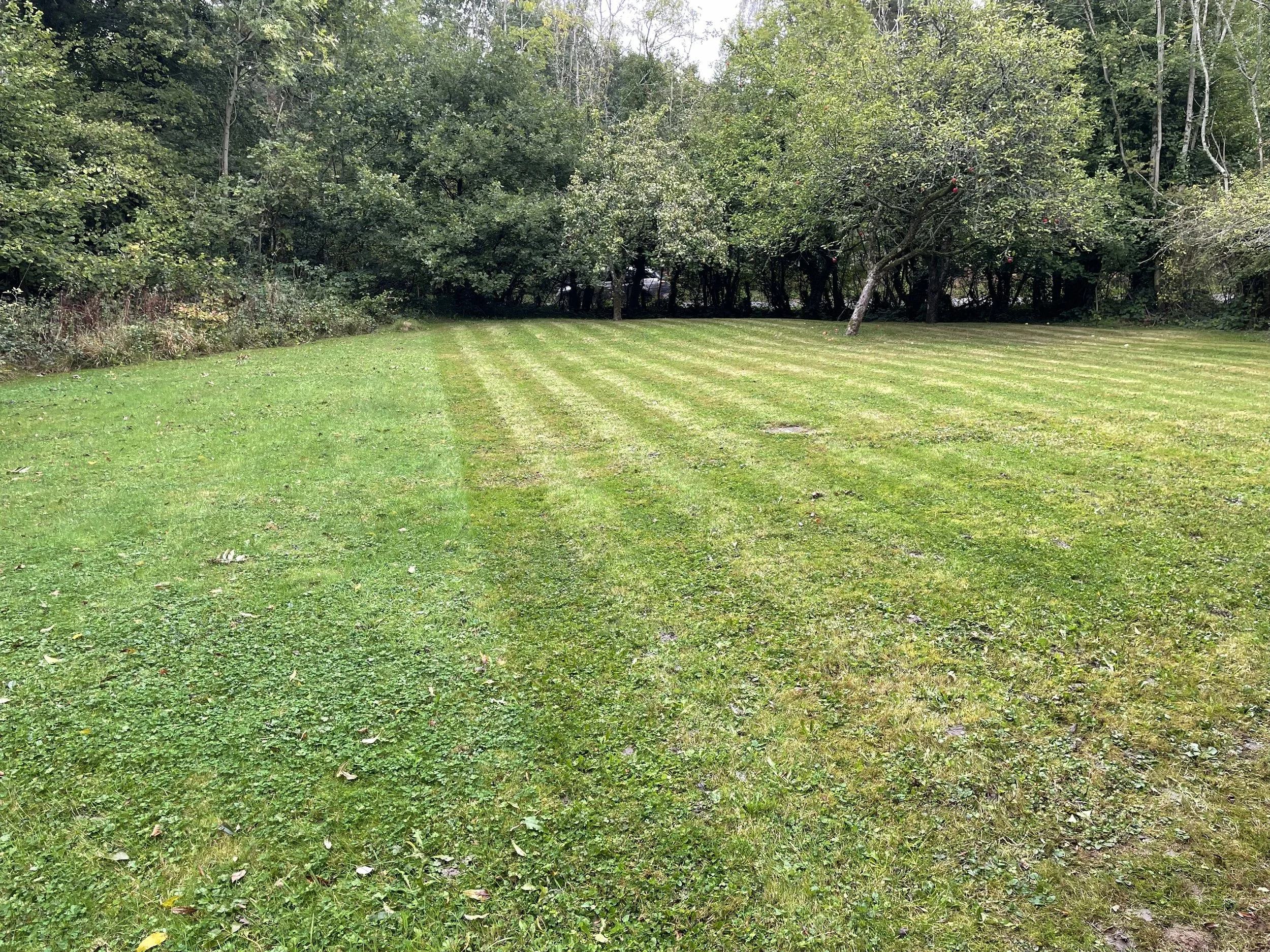 Oranssi carpenter using bench saw