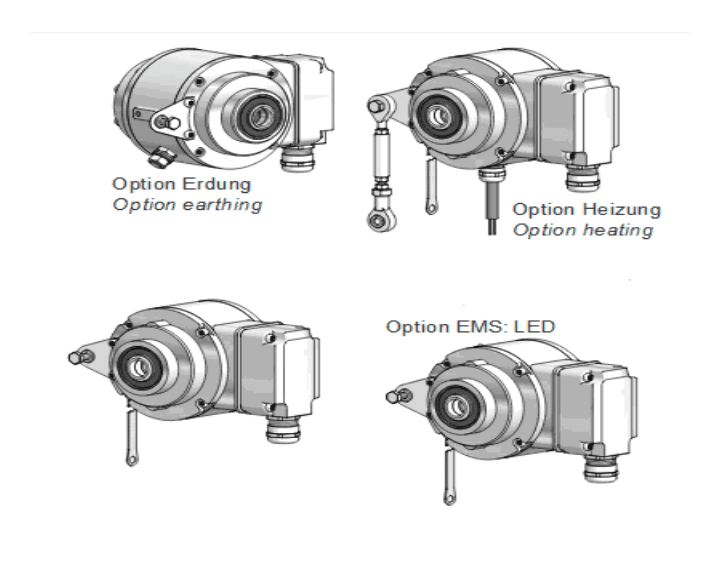 hog-11 (1).png