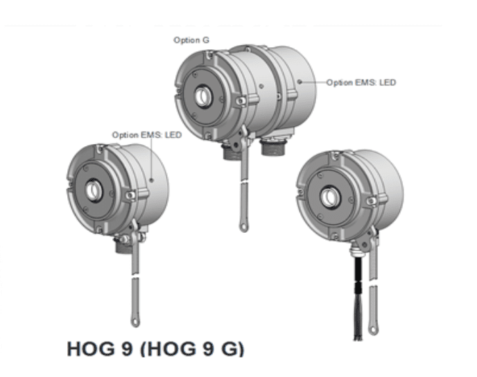 hog-9-g-1.png