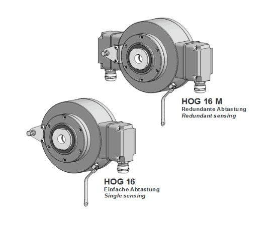 hog-16 (2).png