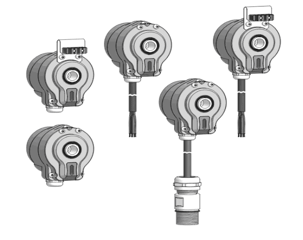 hog-71 (1).png