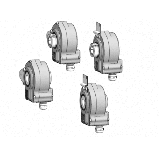 hog-75 (1).png