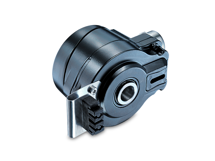 HOG71.webp