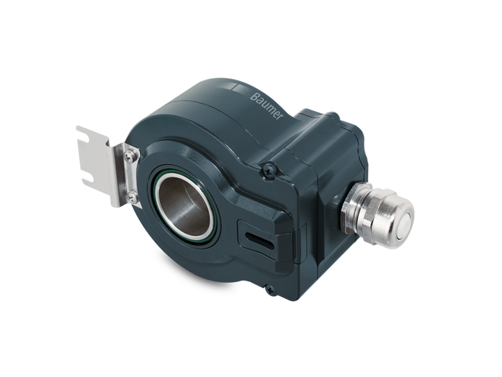 HOG75.webp