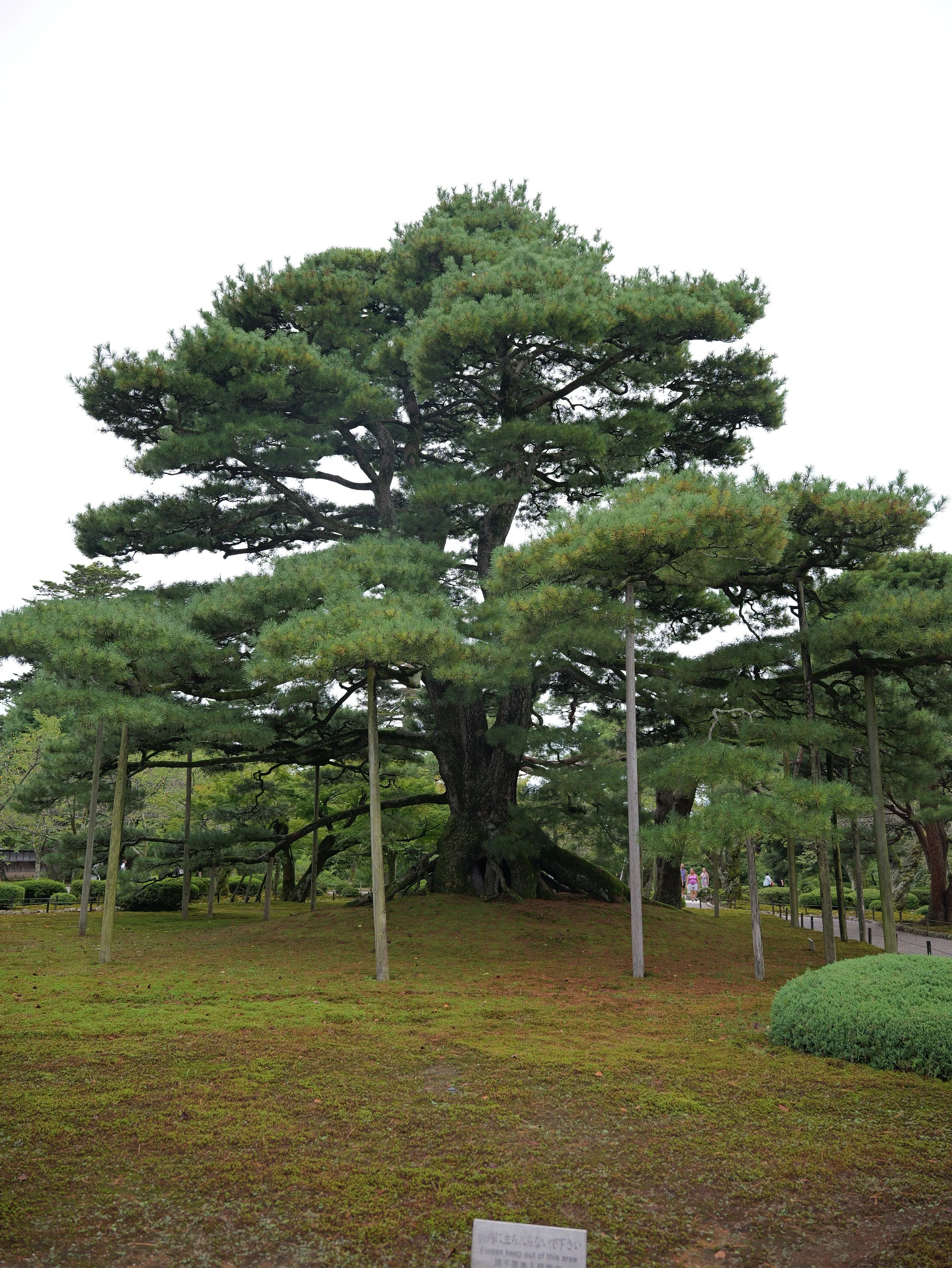 P1088317.jpg