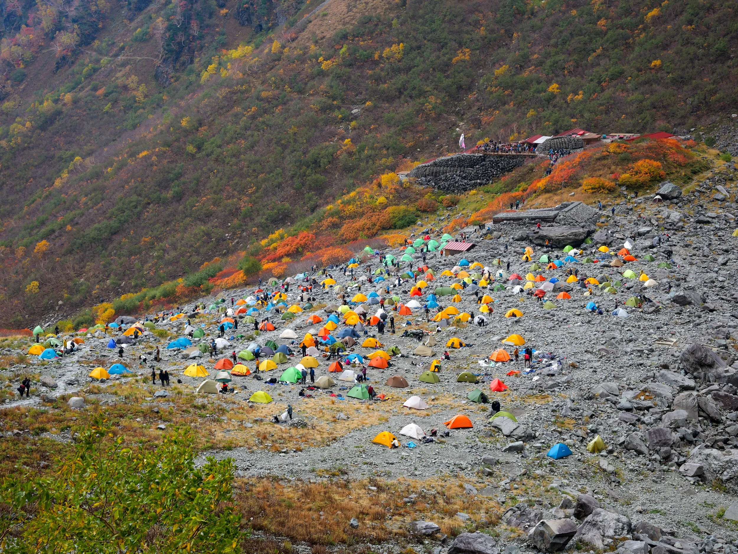 P1088468.jpg
