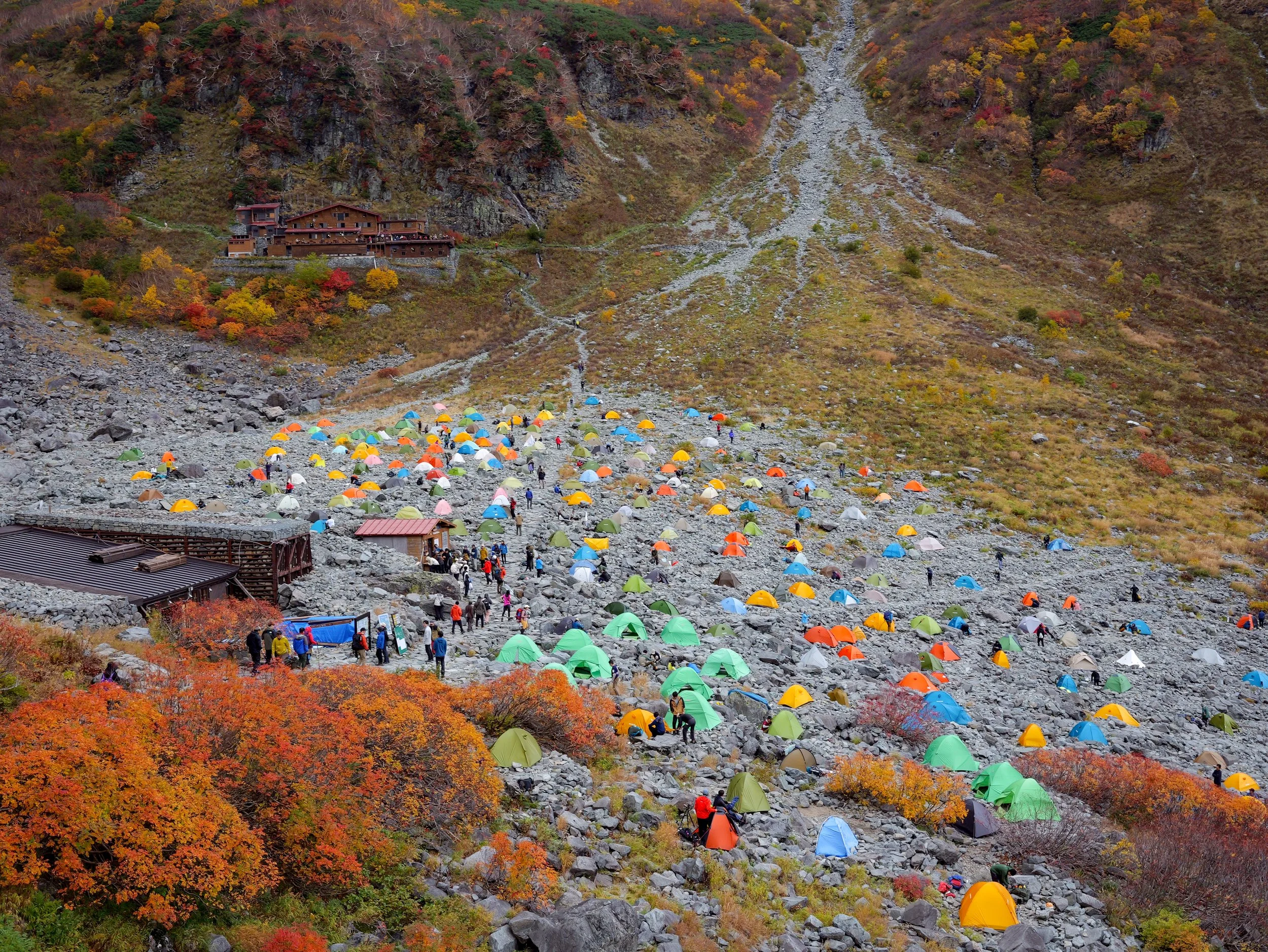 P1088610.jpg