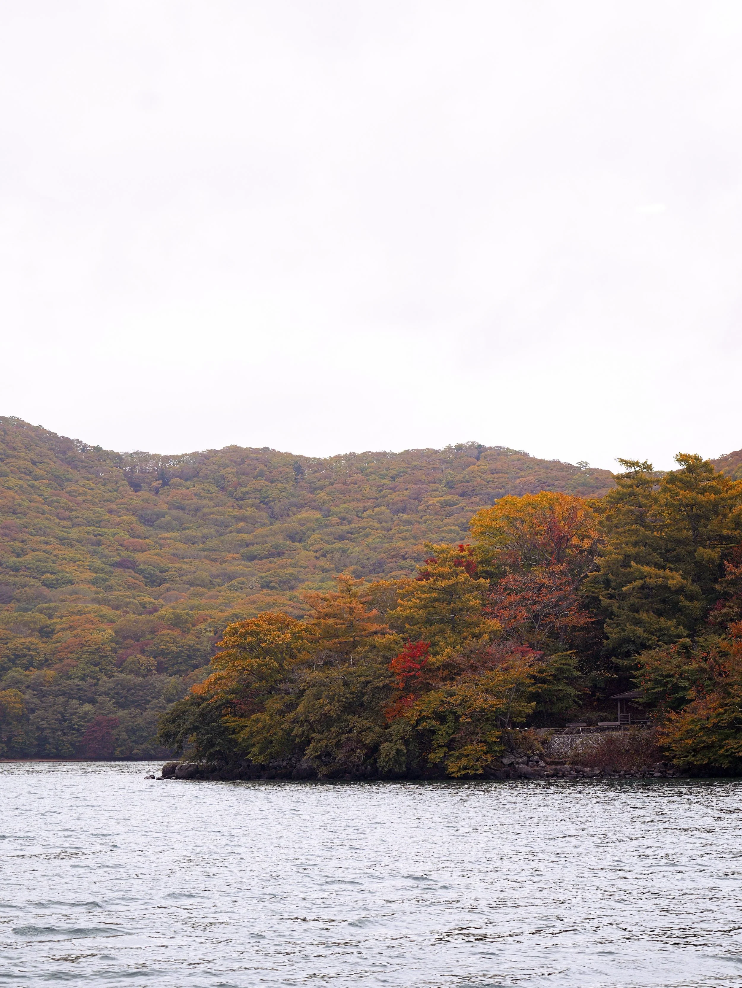 P1028755.jpg