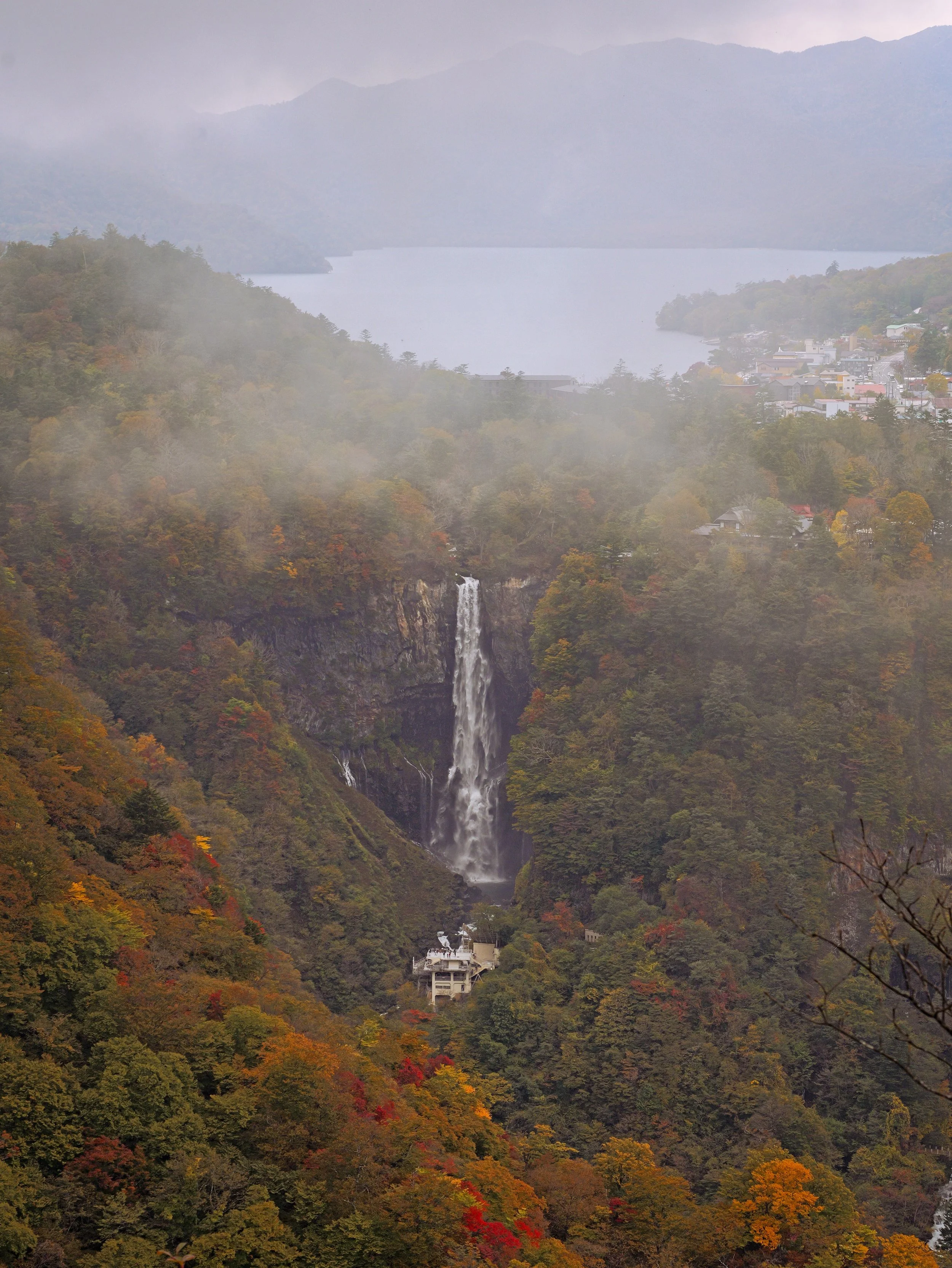 P1028667.jpg