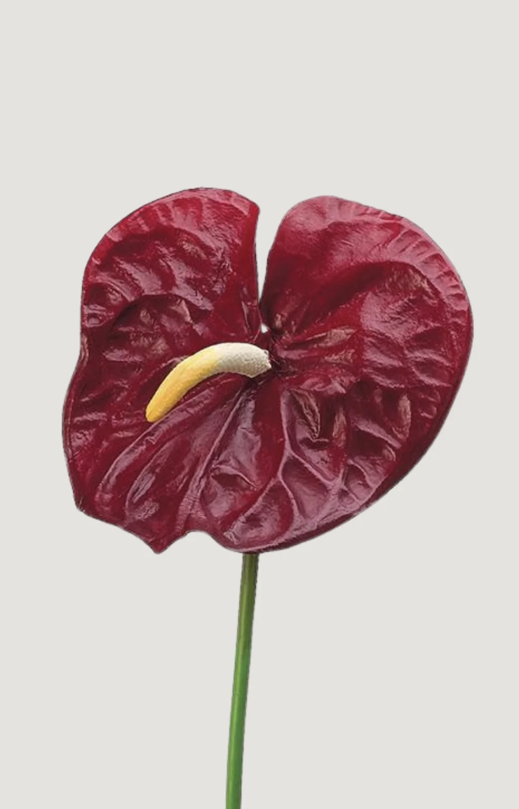 Screenshot 2026-04-06 at 3.37.04 PM.png