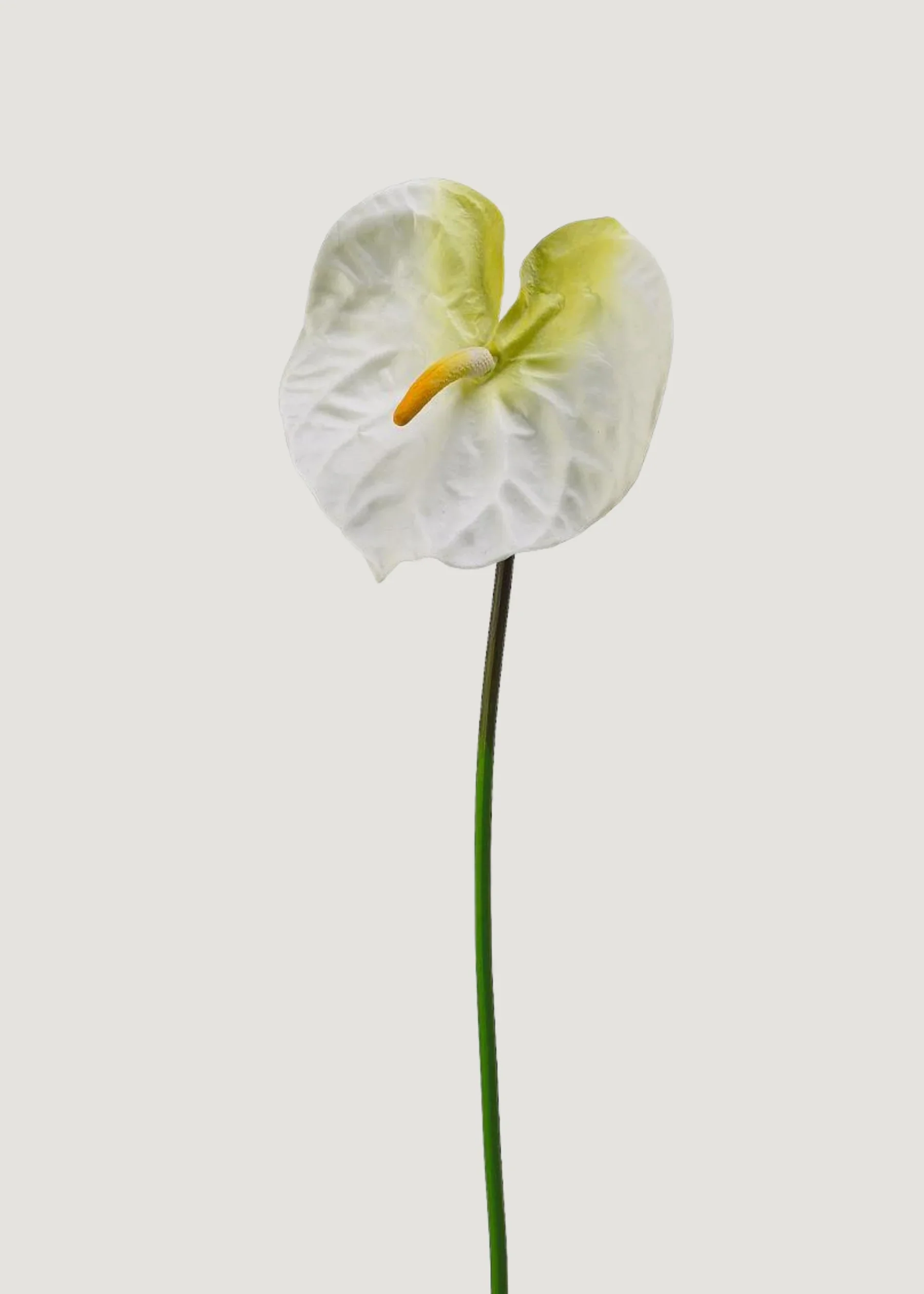 Cream White Artificial Anthurium Tropical Flower - 27"