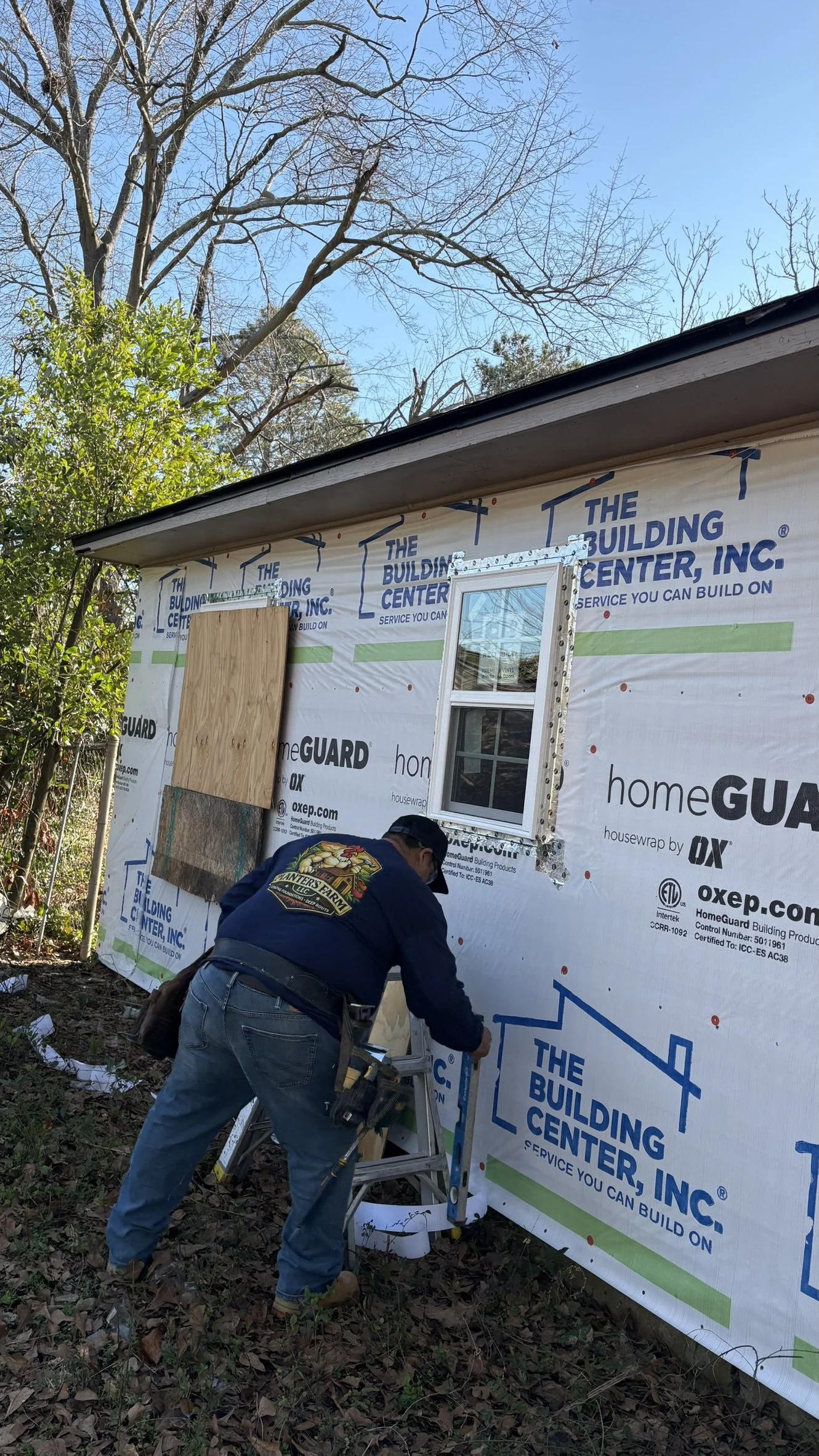 Windows replacement
