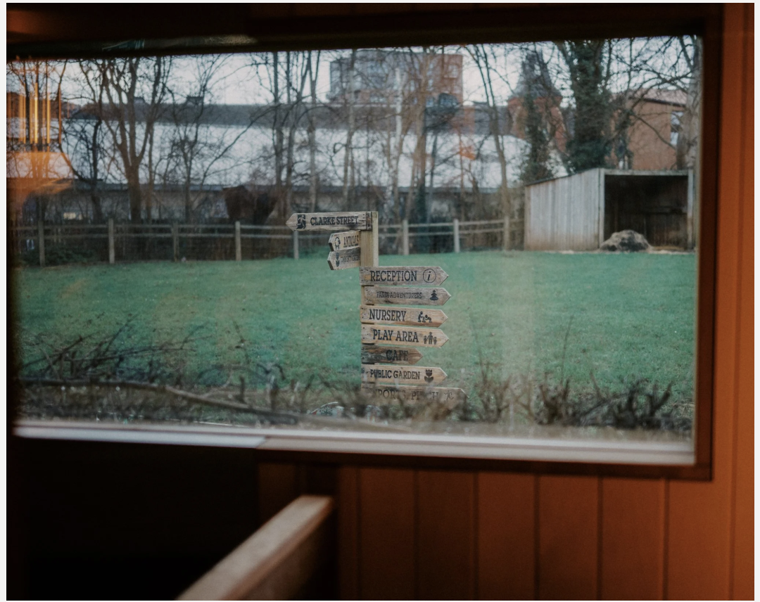 View of a grassy yard seen through a window, with a wooden signpost containing multiple directional signs to various outdoor areas, trees, a small shed, and buildings in the background.
