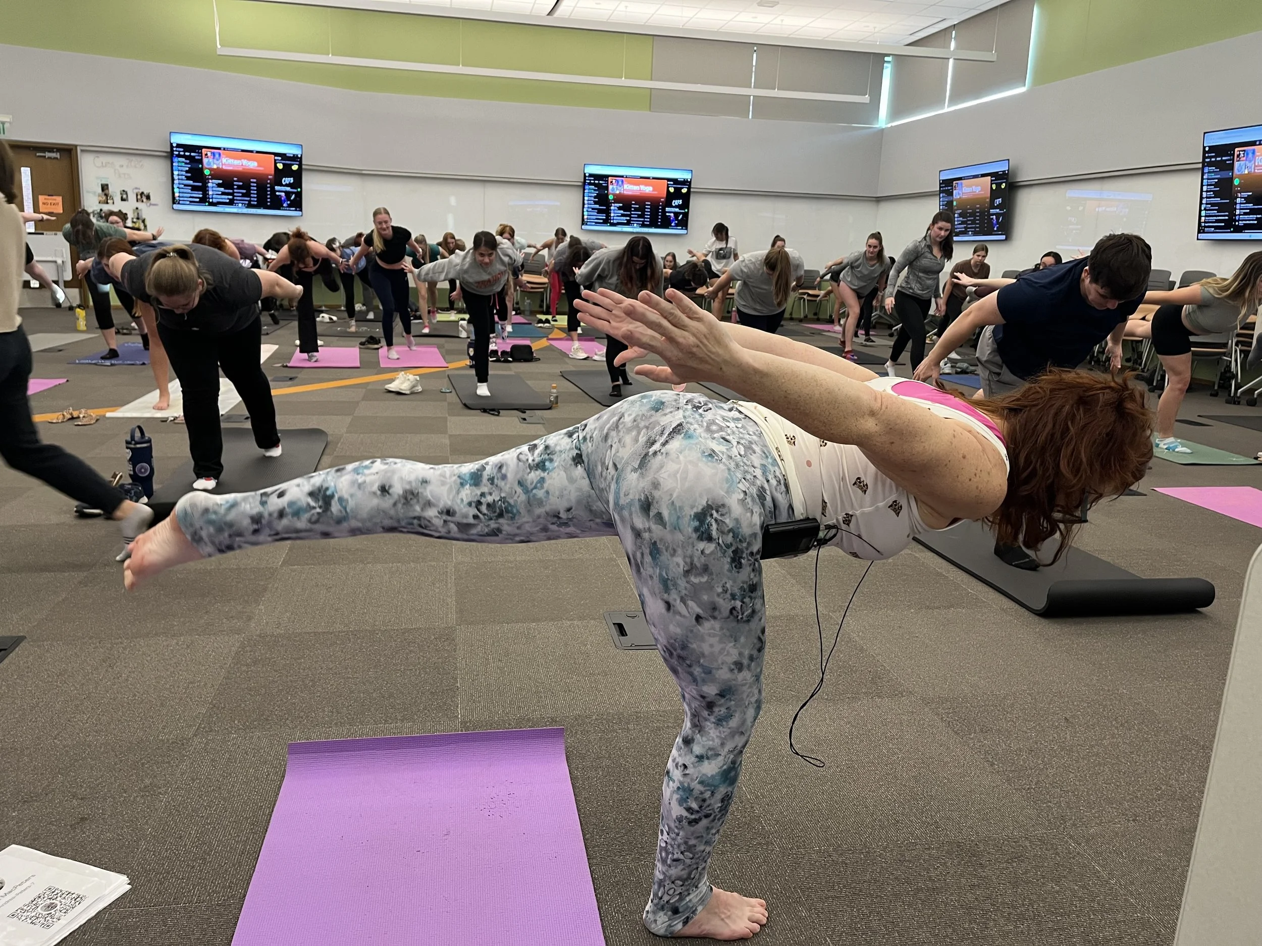 airplane oct 2024 kitten yoga.jpg