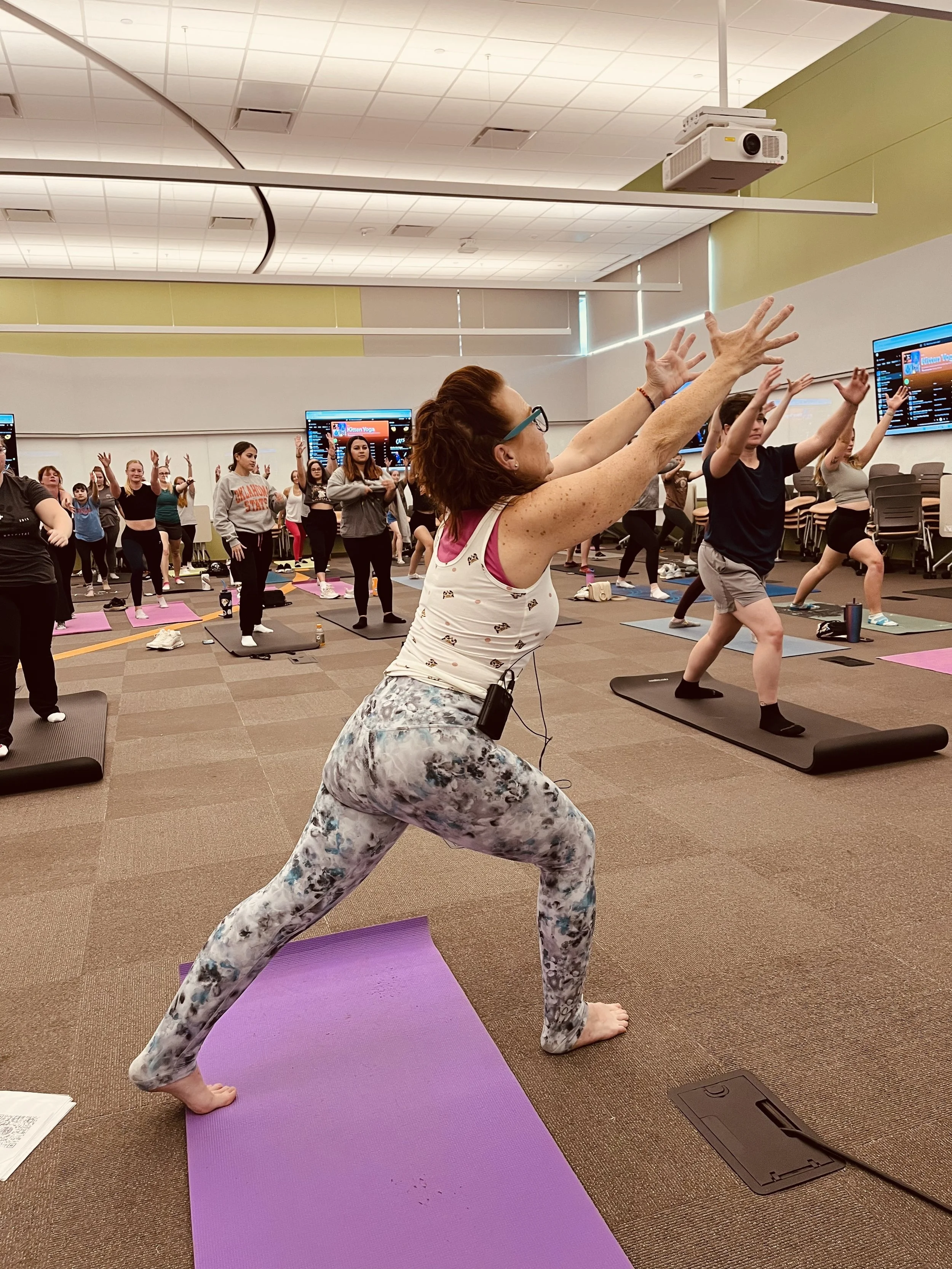 warrior one oct 2024 kitten yoga.jpg