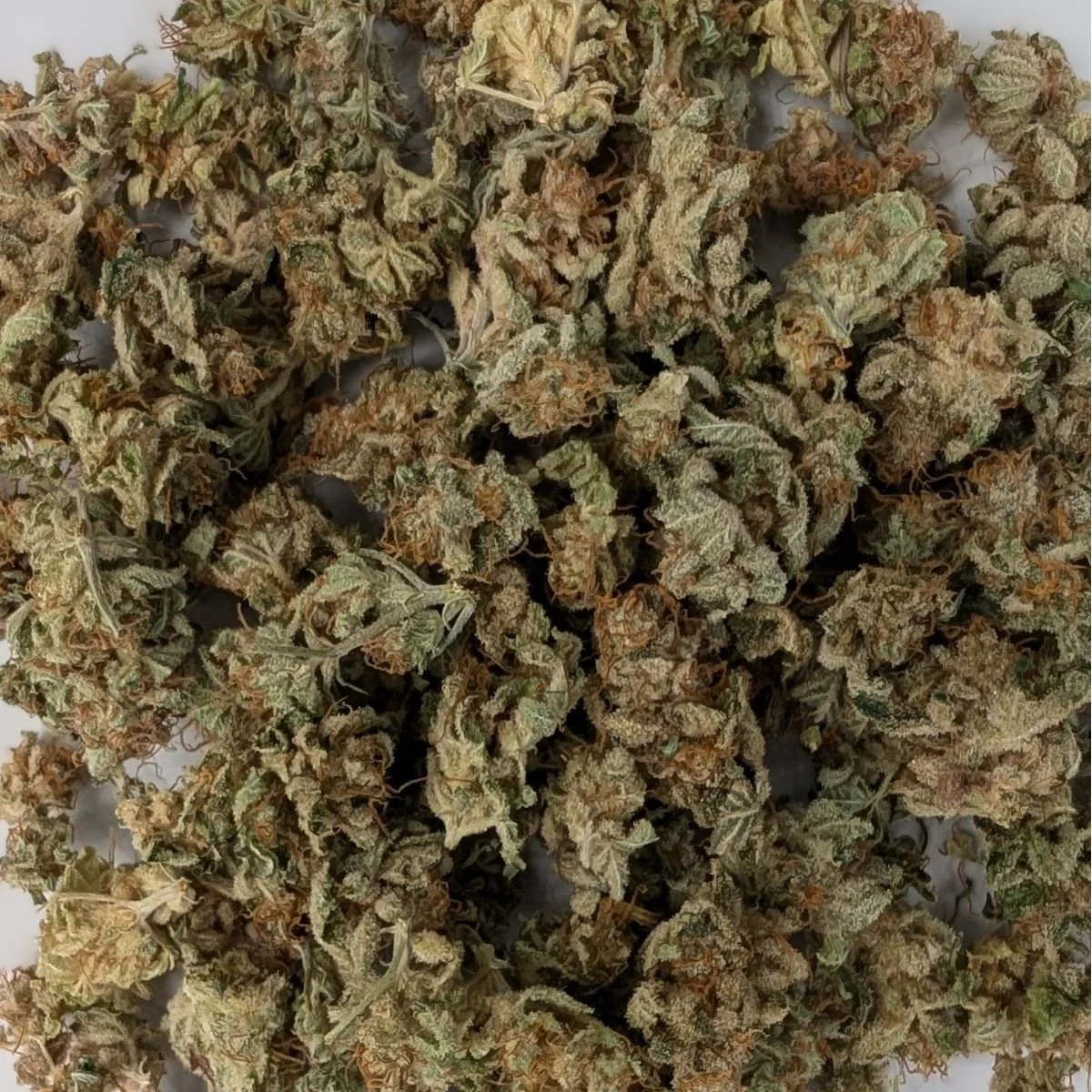 Angel Cake Small Buds