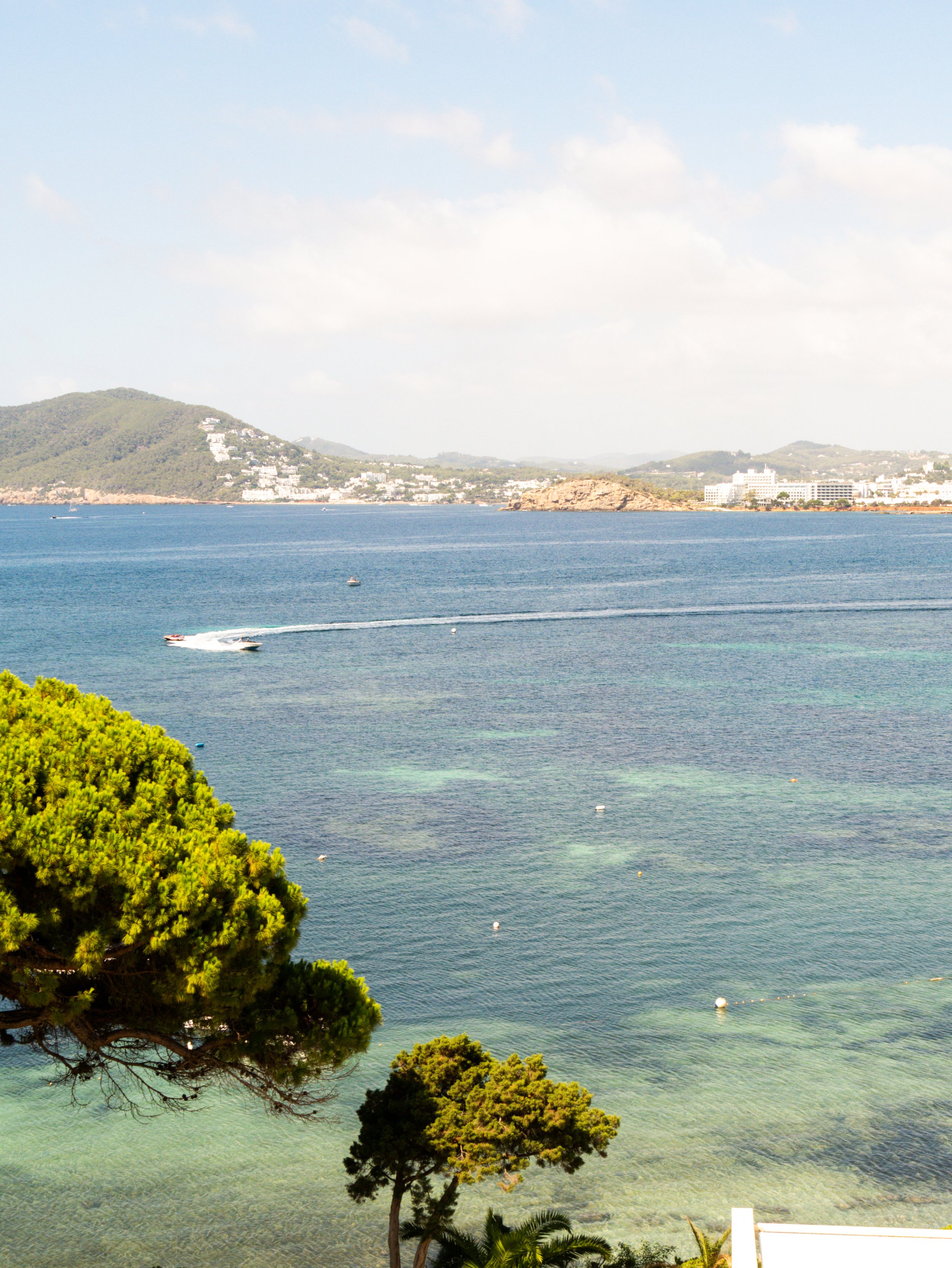 View of a large body of water with trees in the foreground, distant hills, and buildings in the background under a partly cloudy sky.