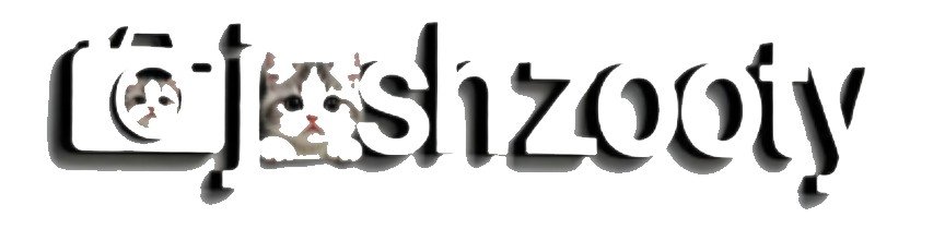 Josh Zooty