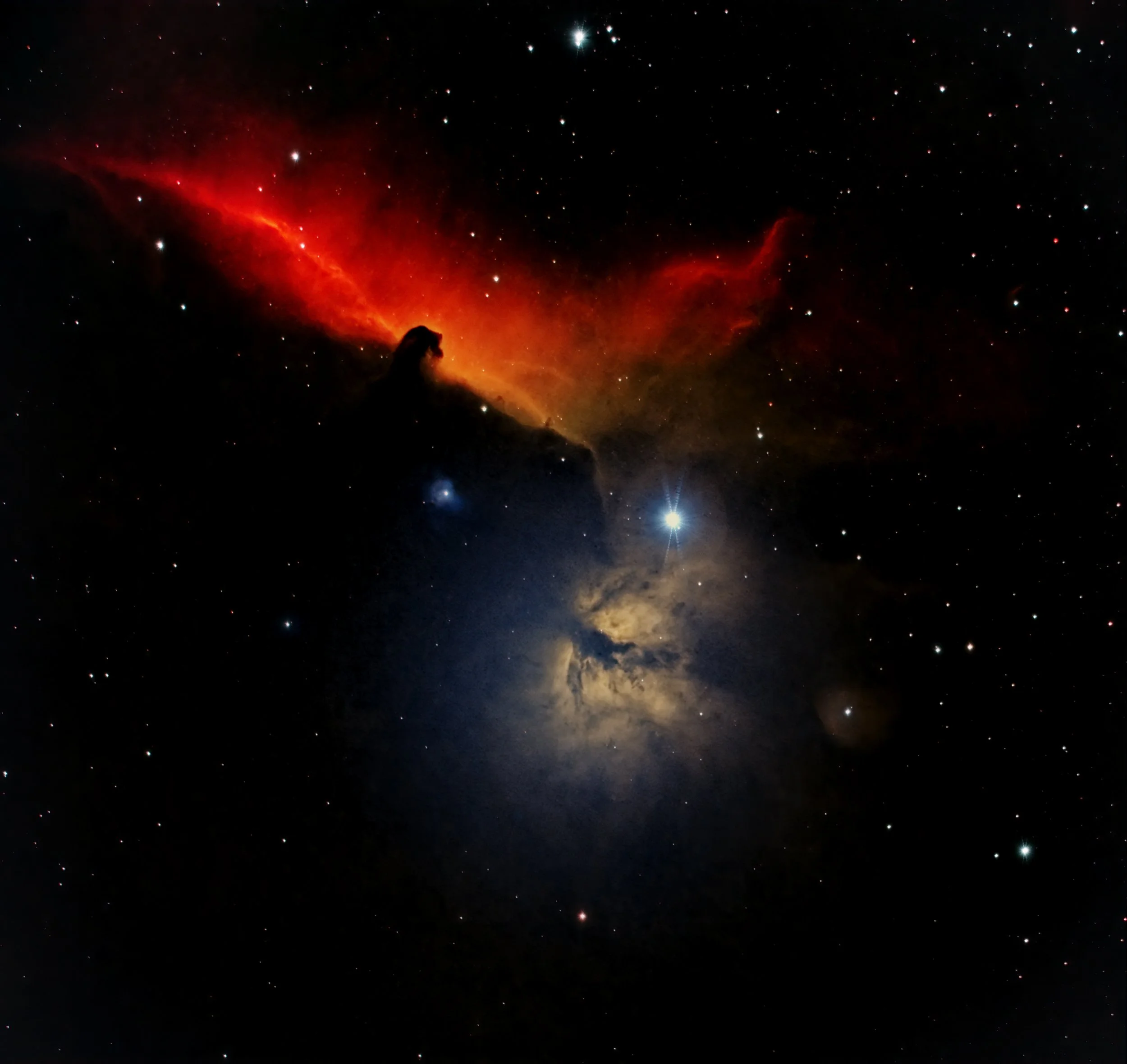 Horsehead_JPG.jpg