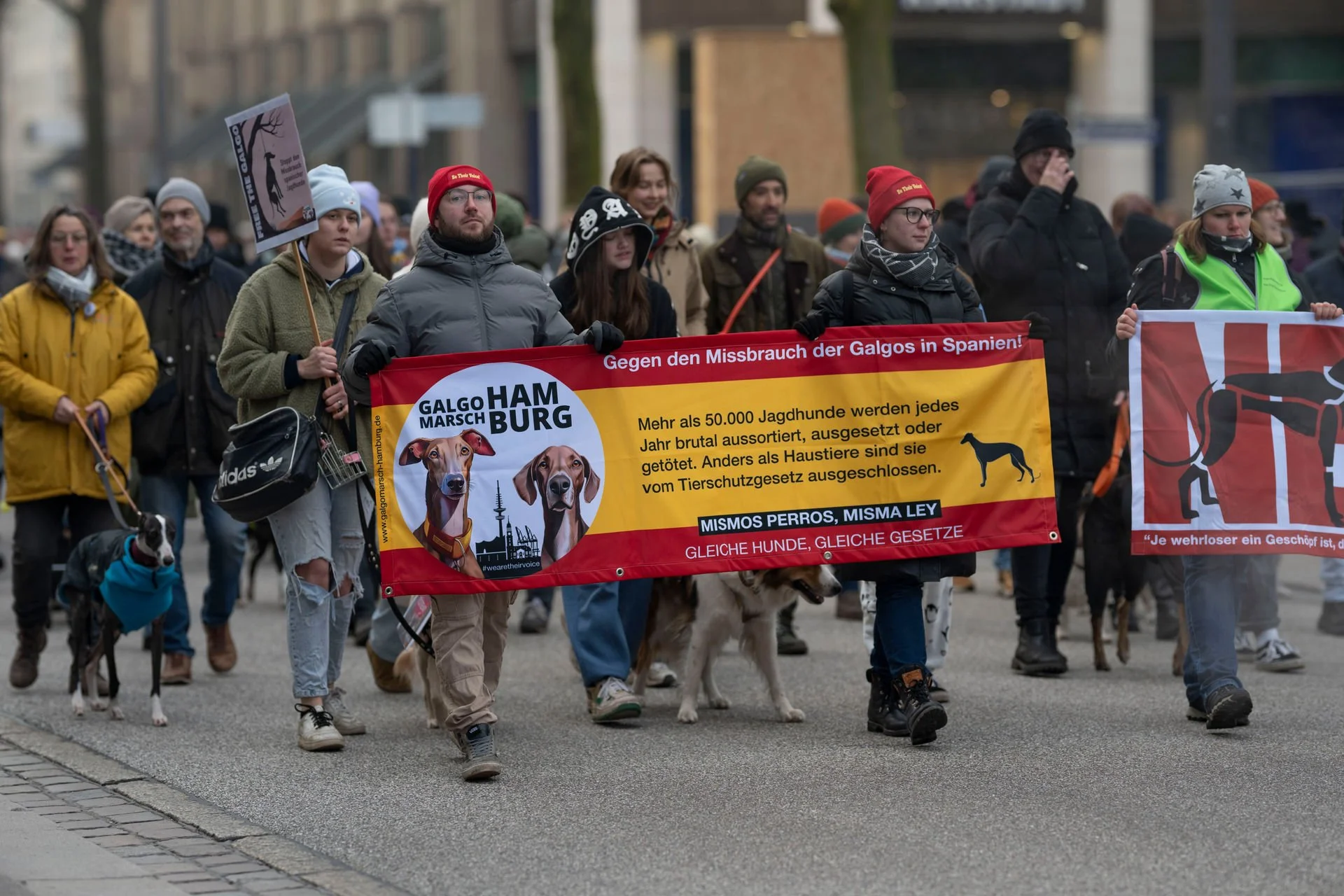 Galgomarsch Hamburg 2025