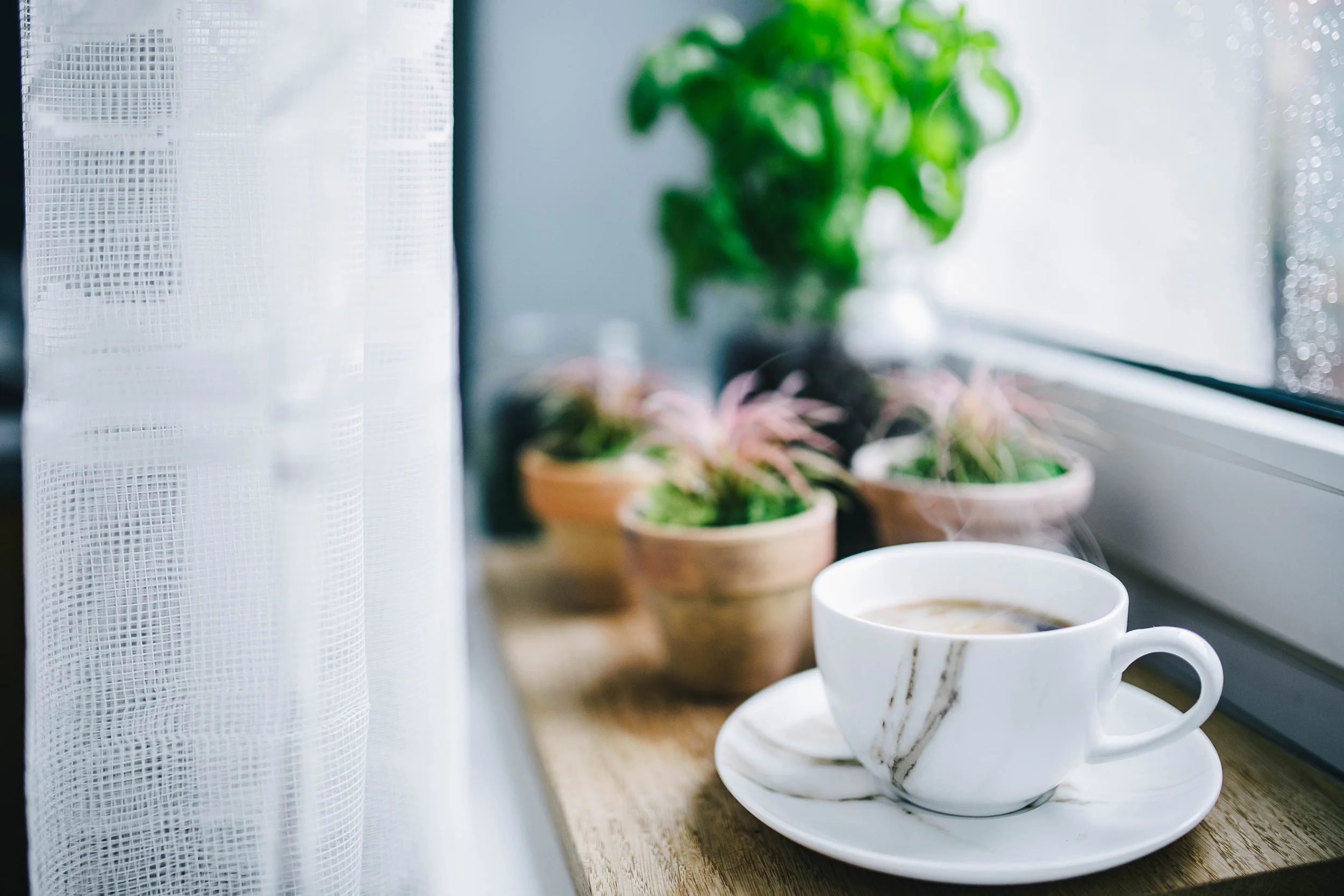 A white coffee mug filled with coffee sitting on a saucer on a windowsill. Behind it, there are potted plants, including a large green plant and smaller succulents, near a window with sheer curtains.