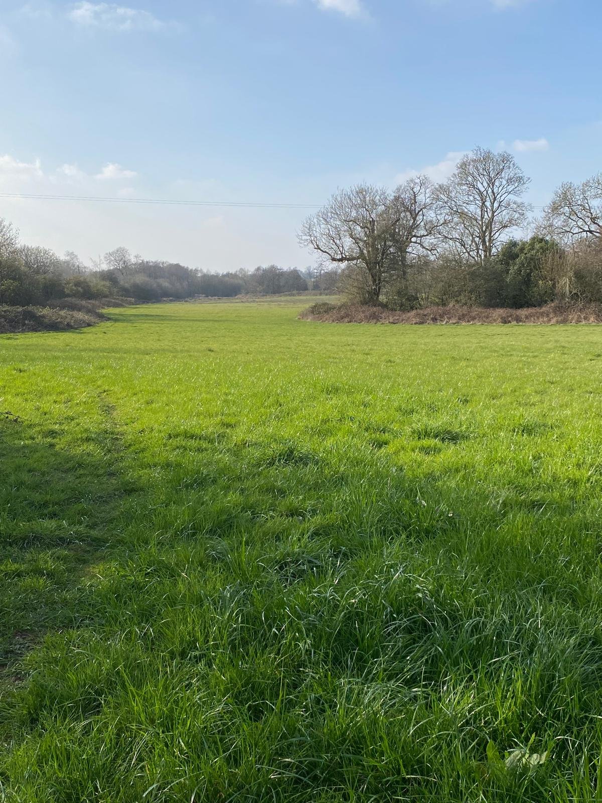 1st June - Atherstone - Gundog Training- Intermediate/Novice Dogs