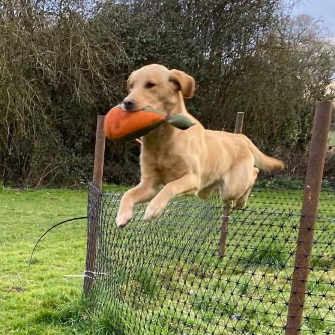 Diglake portrait  (1080 x 1080 px) (5).jpg