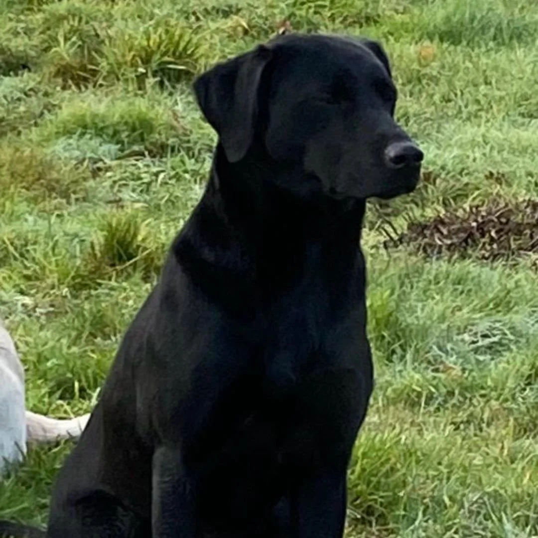 Diglake portrait  (1080 x 1080 px) (4).jpg