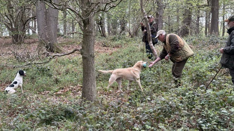 Woodland Training Half Day