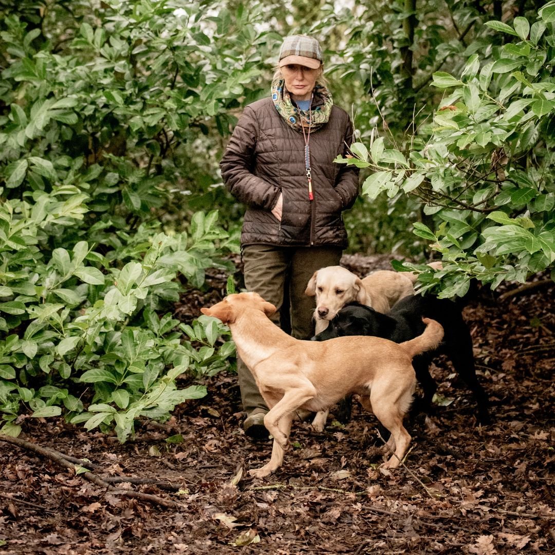 Diglake Gundogs Square  (2).jpg