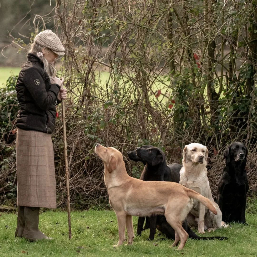 Dawn Scott l standing with a walking stick, wearing a plaid beret, a black jacket, and a long skirt, facing four gundogs sitting on the grass in a natural outdoor setting with trees and bushes in the background.