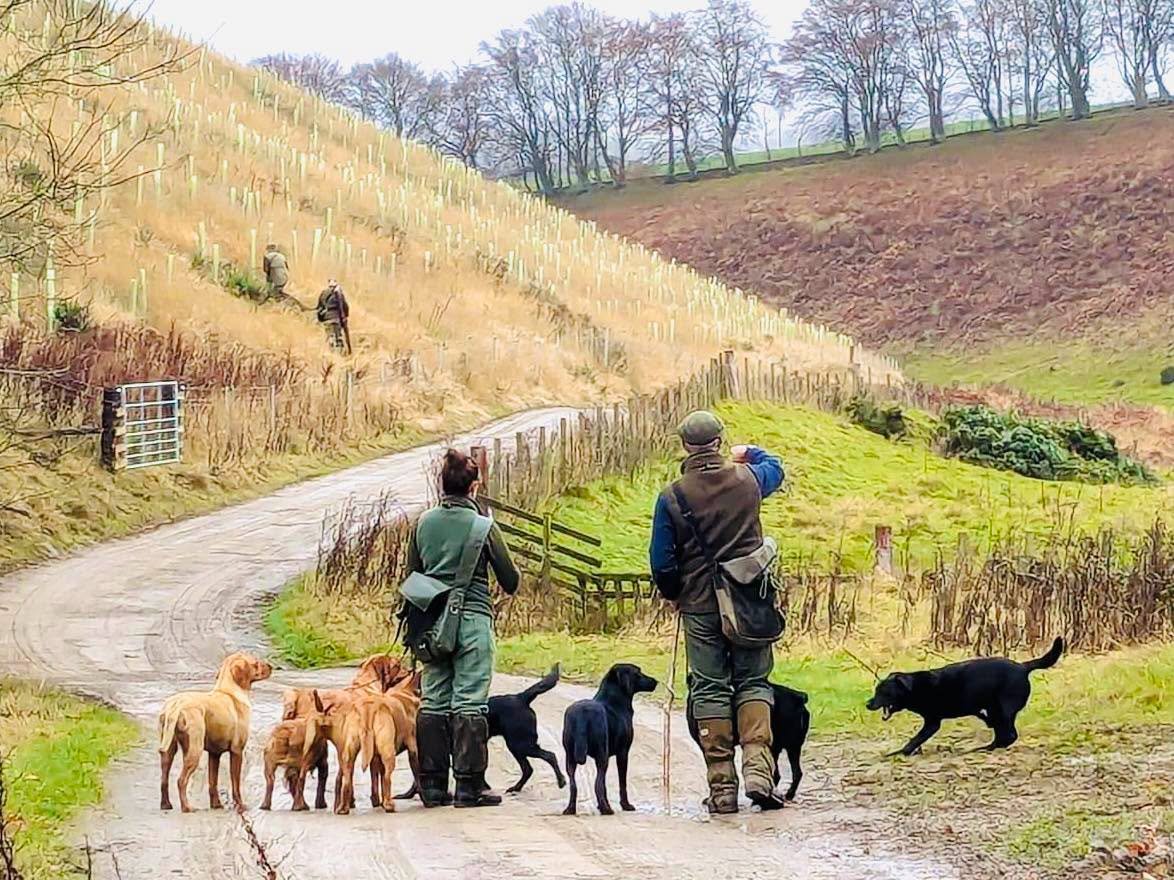 Scottish Borders Training Holiday - Hillhouse Farm - 25th - 29th June 2027
