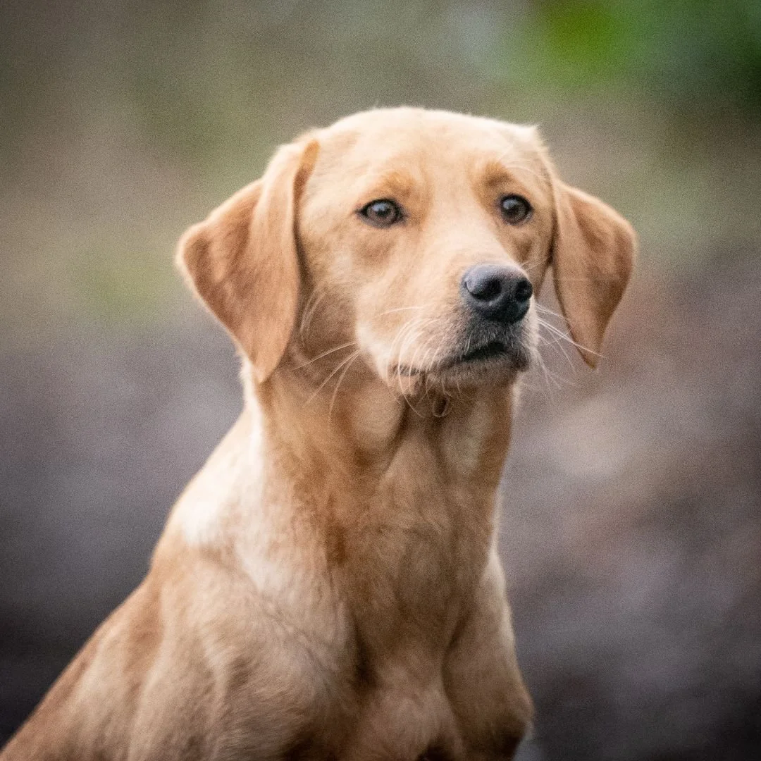 Diglake portrait  (1080 x 1080 px) (6).jpg