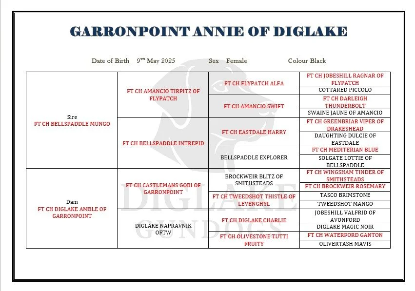 WhatsApp Image 2026-03-10 at 14.21.26 (1).jpeg