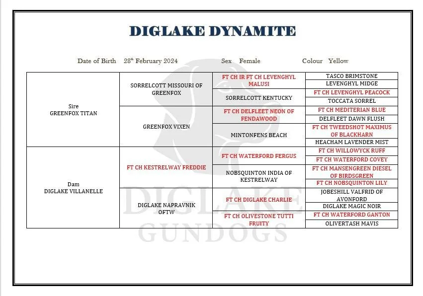 WhatsApp Image 2026-03-16 at 17.15.06.jpeg