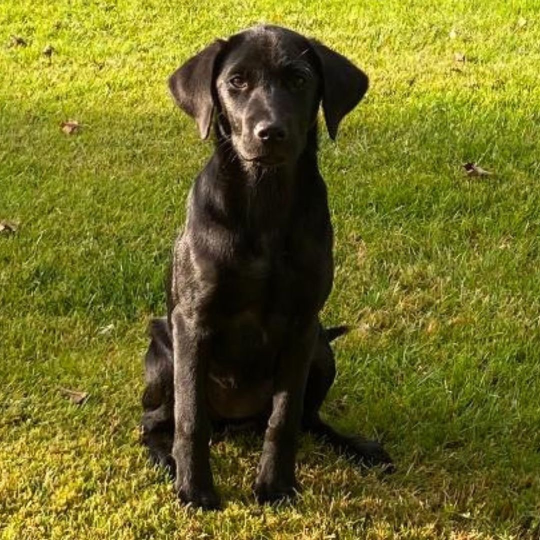 Diglake portrait  (1080 x 1080 px) (7).jpg