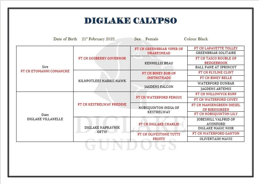 WhatsApp Image 2026-03-10 at 14.15.33.jpeg