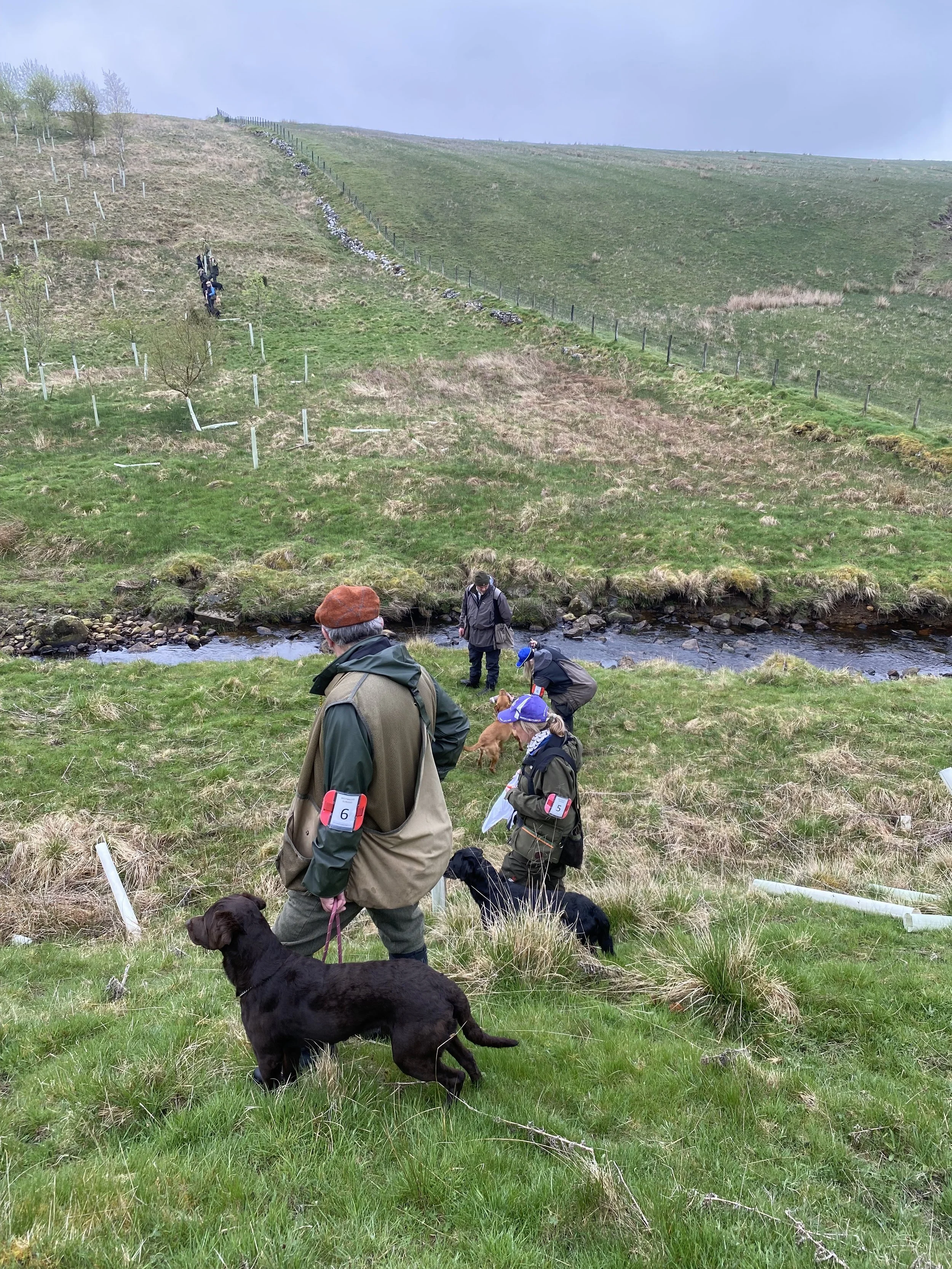 Mock Retriever Trials Day