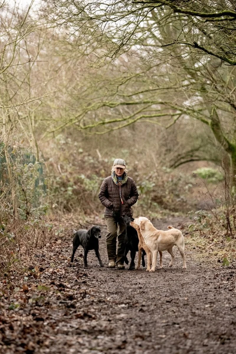 Dawn Scott walking along a forest trail with four Labrador retrievers, two are black and two are yellow, on a cloudy day with leafless trees overhead.