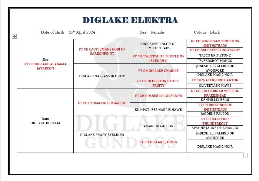 WhatsApp Image 2026-03-10 at 14.20.18.jpeg
