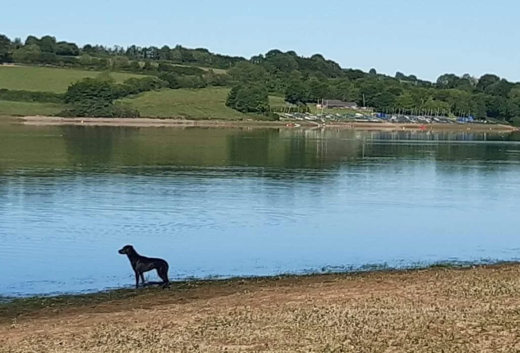 Exmoor Training Holiday - 23rd - 27th April 2027