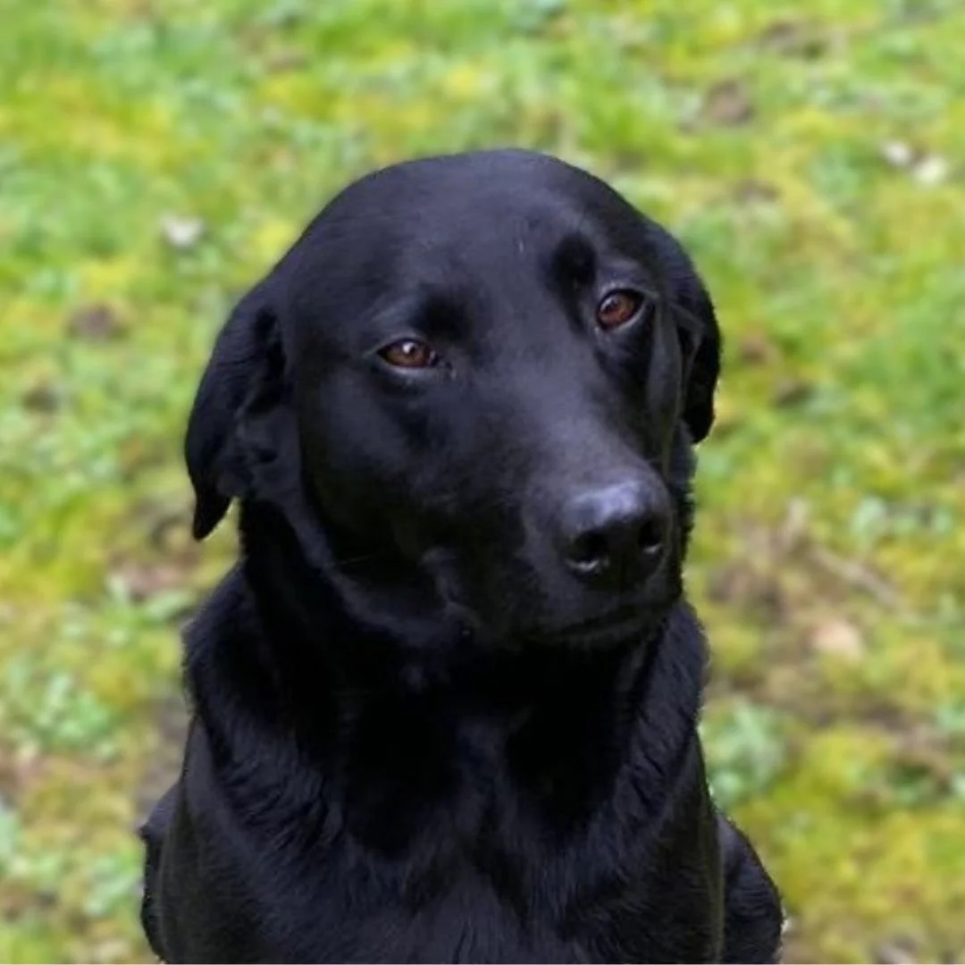 Diglake portrait  (1080 x 1080 px) (3).jpg