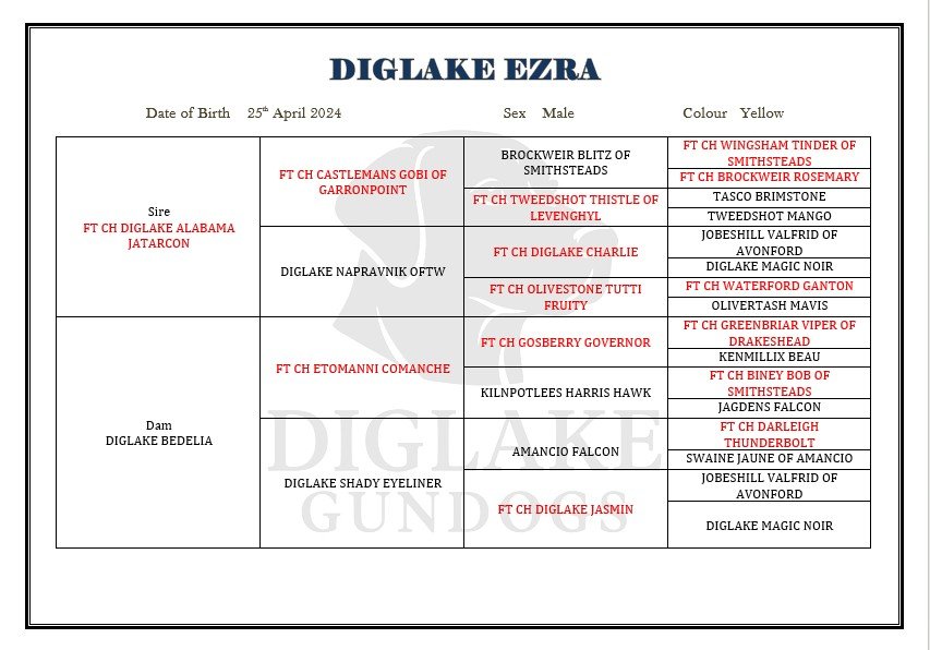 WhatsApp Image 2026-03-10 at 14.12.51.jpeg