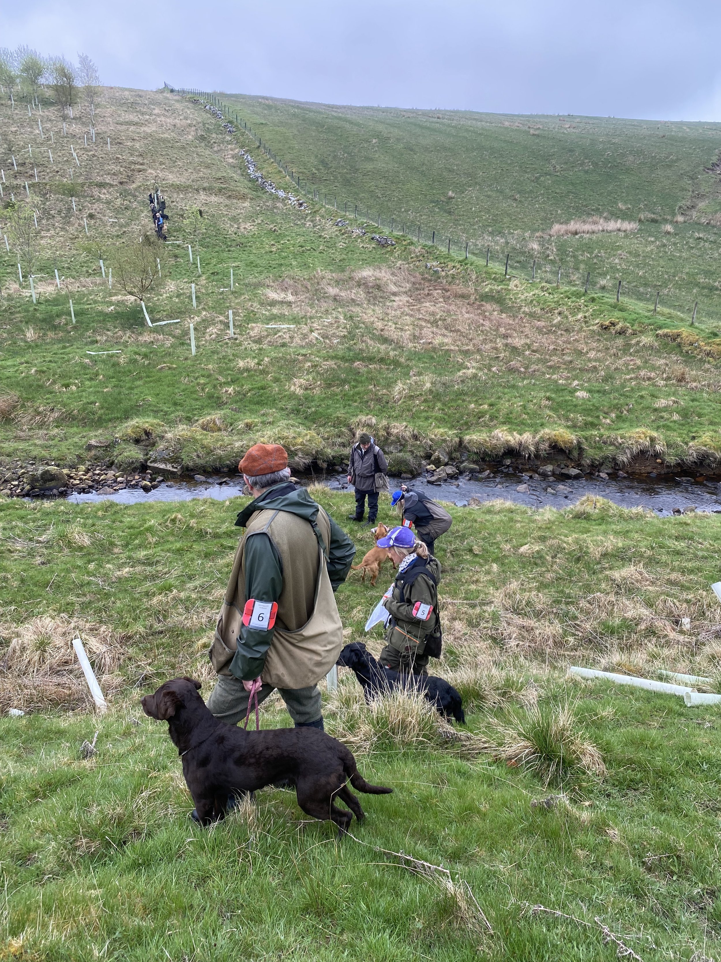 1 Day Mock Retriever Trials