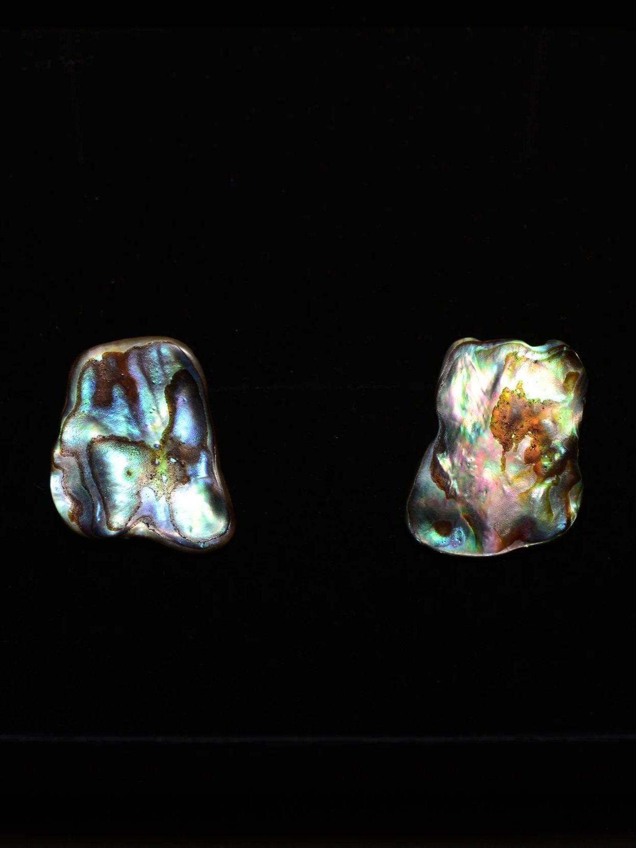 Abalone Earring
