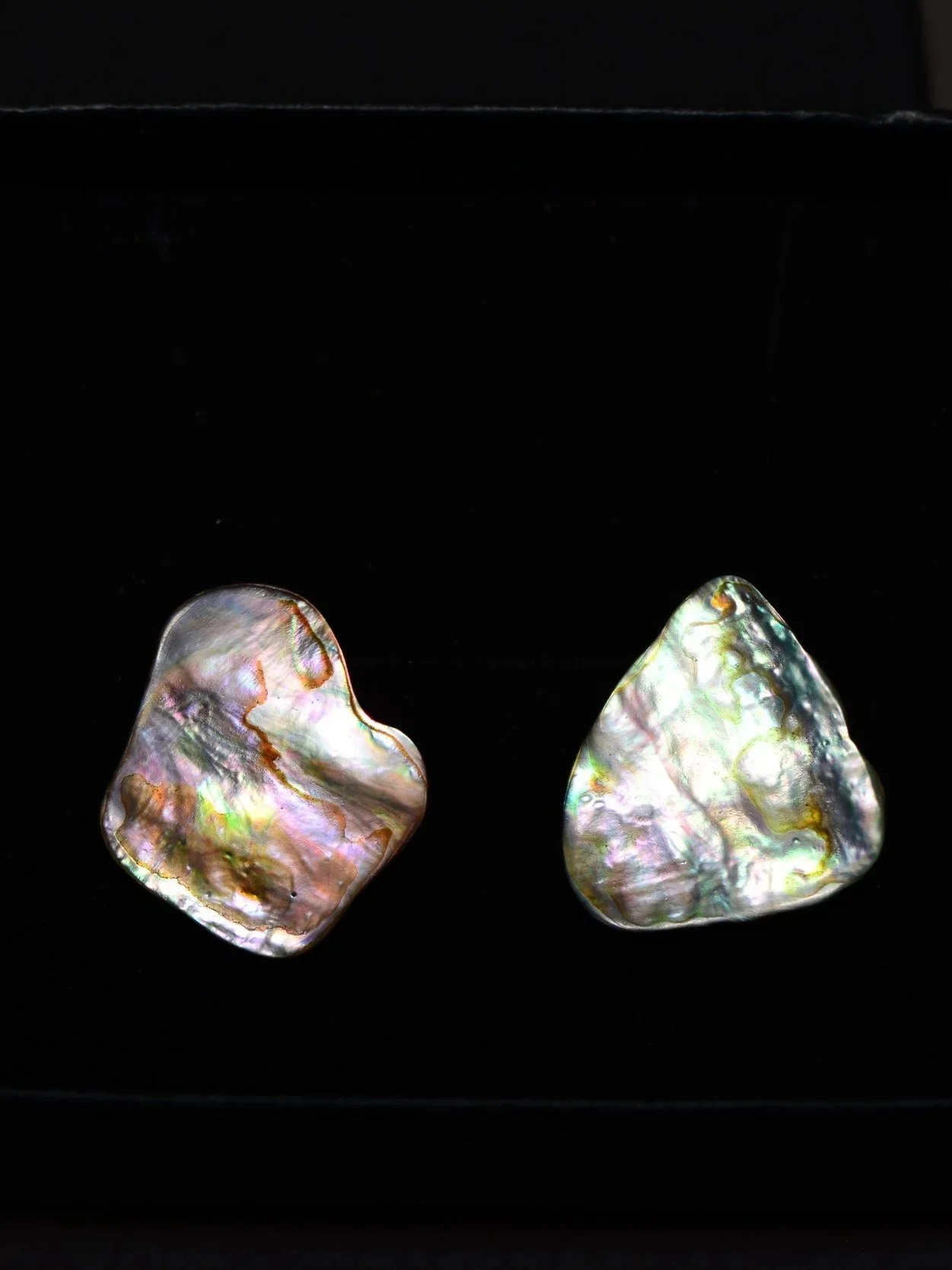 Abalone Earring