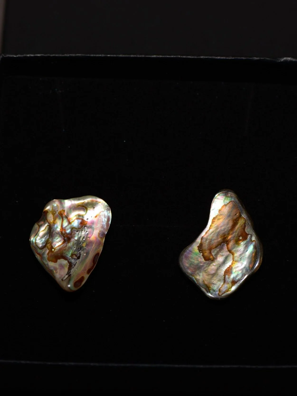 Abalone Earring