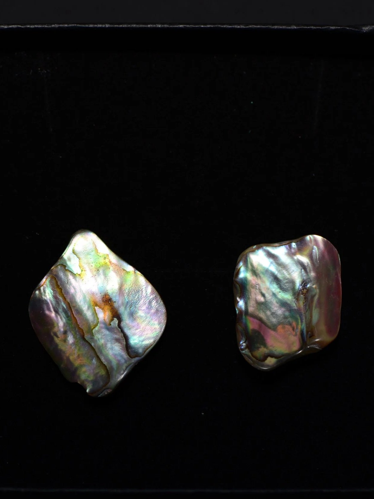 Abalone Earring